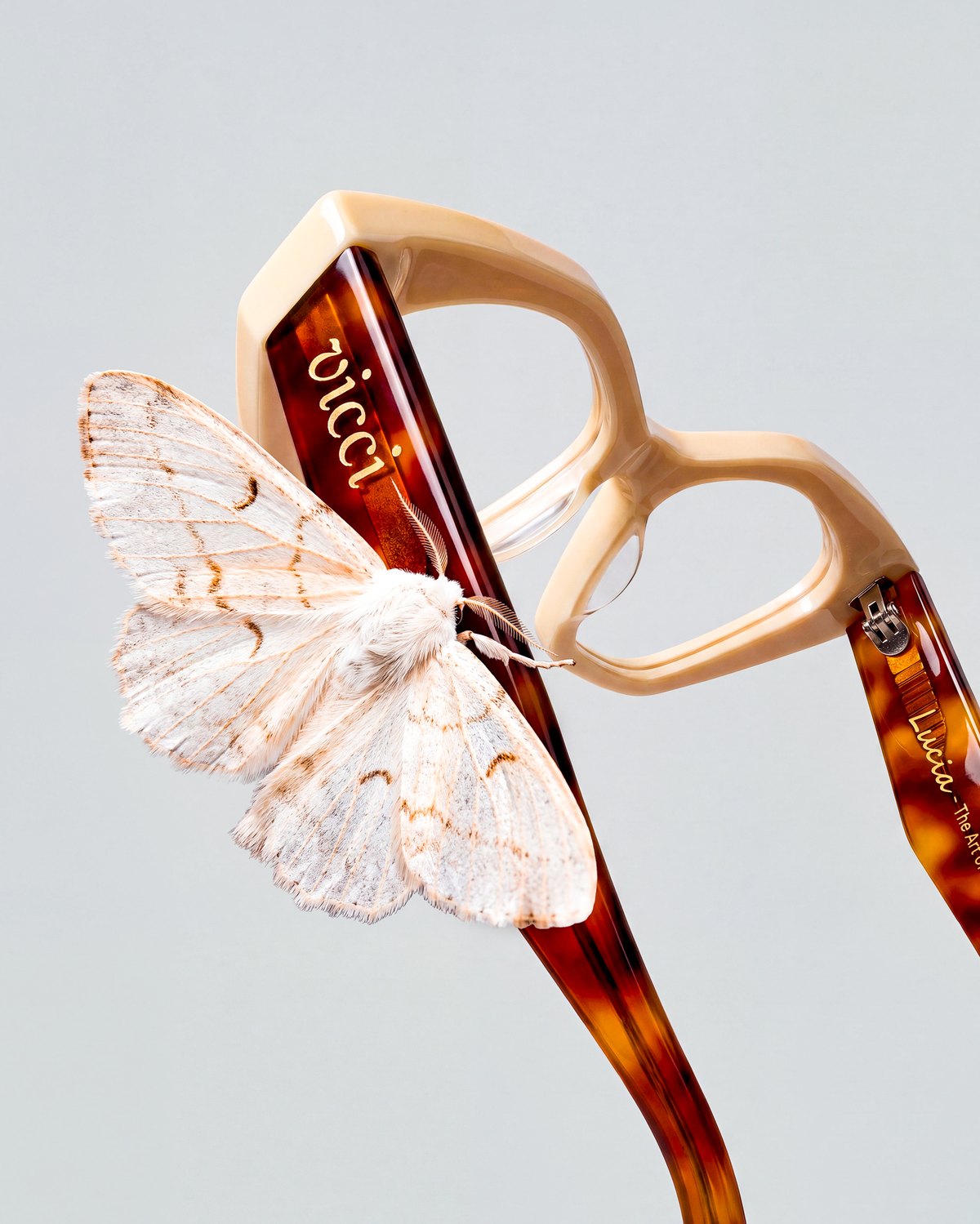 Lucia in Ivory Tortoise