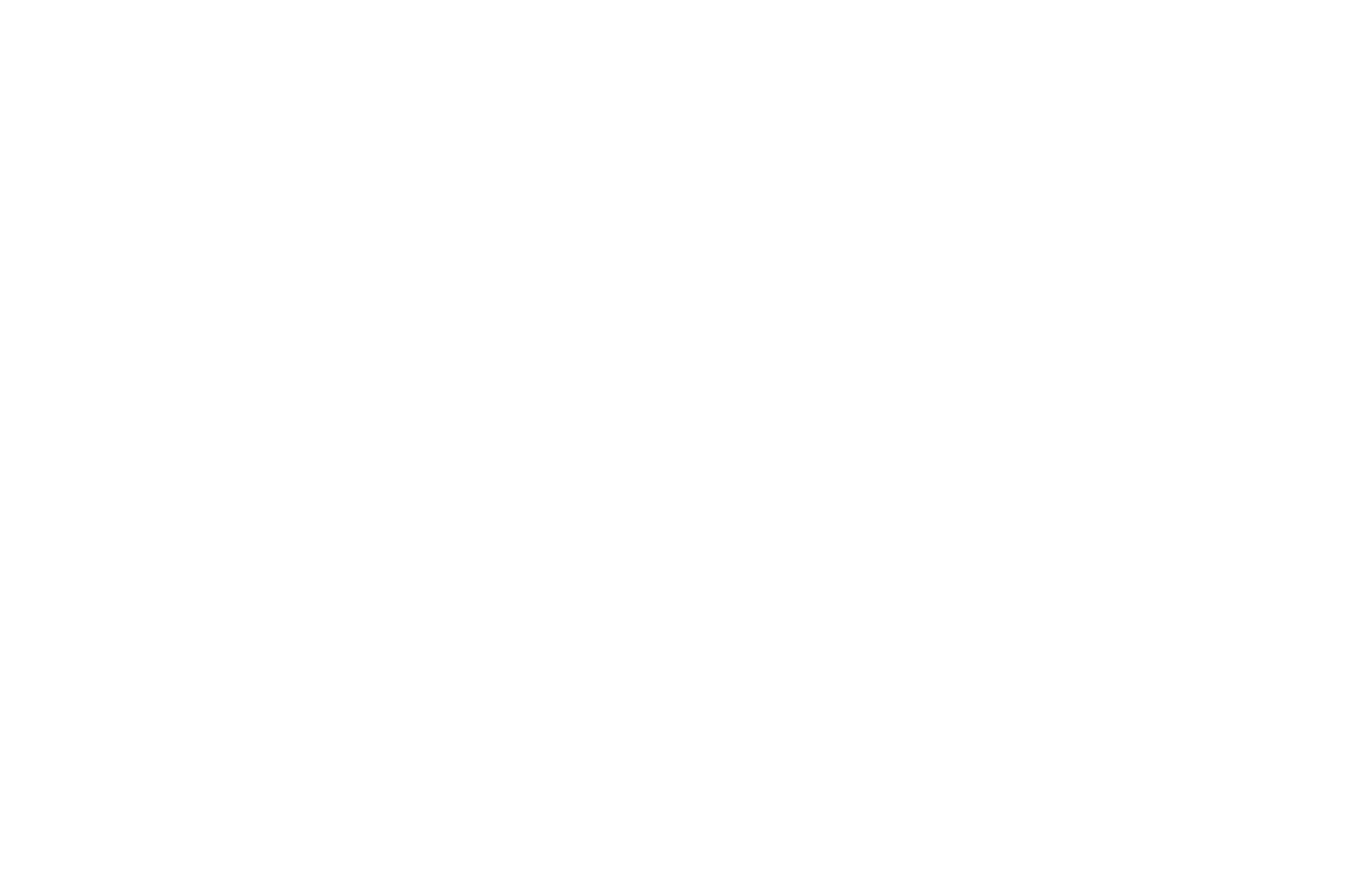 Vicci Eyewear